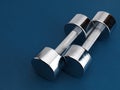 Shiny Chromed Dumbbells