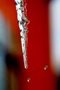 shiny clear ice icicles hang on a clear day. Royalty Free Stock Photo