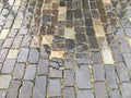 Shiny cobblestones of granite pavement after the rain Royalty Free Stock Photo