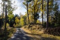 Shiny colorful gravel road Royalty Free Stock Photo