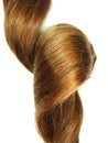 Shiny dark gingery hair curl Royalty Free Stock Photo