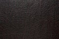 Shiny dark structured leather surface texture Royalty Free Stock Photo