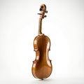 Shiny Finish Violin Back And Scroll View Royalty Free Stock Photo