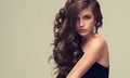 Shiny, freely laying curls of well groomed hair. Beauty portrait of young, perfektly looking woman. Royalty Free Stock Photo