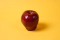 Shiny fresh apples. From the side view. Royalty Free Stock Photo