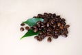 Coffee beans with leaf on light background