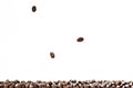 Shiny freshly roasted coffee beans on a white background. Isolated Royalty Free Stock Photo