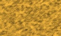 Shiny gold and black textured background wallpaper. Royalty Free Stock Photo