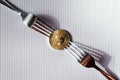 Shiny gold coin with bitcoin symbol between two silver forks Royalty Free Stock Photo