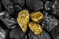 Shiny gold nuggets on black coals, view from above. Pieces of gold among the coal Royalty Free Stock Photo