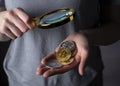 Shiny gold and silver coins of crypto currency in female hand palm with magnifying loupe close up. Pile of bitcoin and