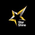 Shiny Gold Silver Star Logo Symbol Icon