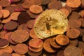 Shiny golden Bitcoin sticking out from pile of old coins