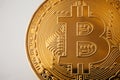 shiny golden bitcoin on white background, close up. digital currency, bit coins, cryptocurrency concept.space for text, digital Royalty Free Stock Photo