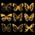 Shiny golden butterflies with light effect