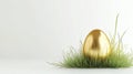 A shiny golden egg is placed on a small patch of green grass, set against a white background. The egg is smooth and reflective Royalty Free Stock Photo
