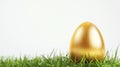 A shiny golden egg is placed on a small patch of green grass, set against a white background. The egg is smooth and reflective Royalty Free Stock Photo