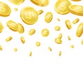 Shiny golden falling coins realisitc vector background