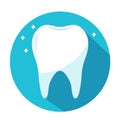 Shiny healthy tooth in blue circle. dentistry concept vector