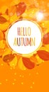 Shiny Hello Autumn Natural Leaves Background. Vector Illustration