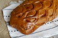 Shiny homemade apple loaf close-up