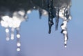 shiny icicles hanging from the roof in the spring and Royalty Free Stock Photo