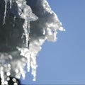 Shiny icicles melt and drip on the roof in the spring Royalty Free Stock Photo