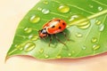a shiny ladybug on a glossy, waxy leaf surface