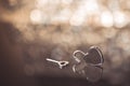 Shiny metal heart lock and key in brown light and bokeh background, old time theme, romantic and vintage look Royalty Free Stock Photo