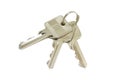 Shiny metal keys Royalty Free Stock Photo
