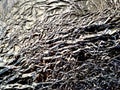 Shiny metal silver aluminum foil texture for background. Royalty Free Stock Photo