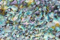 Shiny mother-of-pearl of Abalone shell background Royalty Free Stock Photo