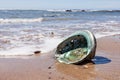 Shiny nacre Abalone shell washed ashore onto beach