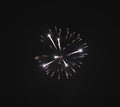 Shiny natural fireworks Royalty Free Stock Photo