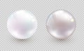 Shiny natural light sea oyster pearl with highlight isolated on transparent background. Beautiful 3D shining realistic pearl for