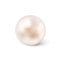 Shiny natural white sea pearl with light effects isolated on white background. Vector illustration. Royalty Free Stock Photo