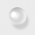 Shiny natural white sea pearl with light effects on transparent background. Royalty Free Stock Photo