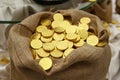 Shiny new gold coins in hessian sack