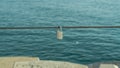 Shiny padlock hanging on a rope sea Royalty Free Stock Photo