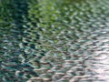 Patterned glass surface texture with reflected green color. Abstract embossed glass background Royalty Free Stock Photo