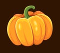 Shiny Pumpkin icon