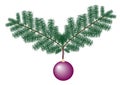 A shiny purple Christmas bauble with a ribbon hanging from 2 angled Christmas branches