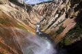 Shiny rainbow over the Grand Canyon of Yellowstone Royalty Free Stock Photo