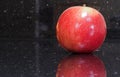 Shiny red apple Royalty Free Stock Photo