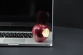 Shiny red apple resting on an open aluminum laptop in selective focus on a black background Royalty Free Stock Photo