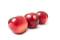 Shiny red autumn apples Royalty Free Stock Photo
