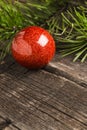 Shiny red christmass ball with green fir pine branch