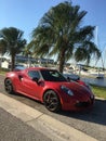 Shiny Red Sports Car With Palm Trees and Water Royalty Free Stock Photo