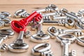 shiny red vintage key on an array different keys