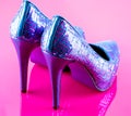 Shiny Shoes Royalty Free Stock Photo